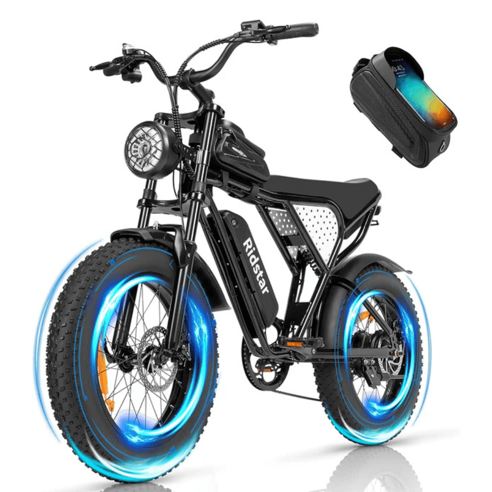 Q20 1000W 48V 15AH Fat Tire Electric Bicycle