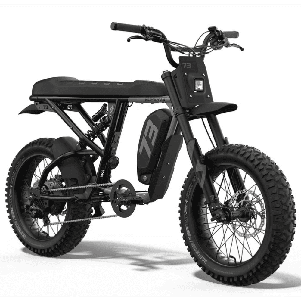 Fat Tire Electric Bike