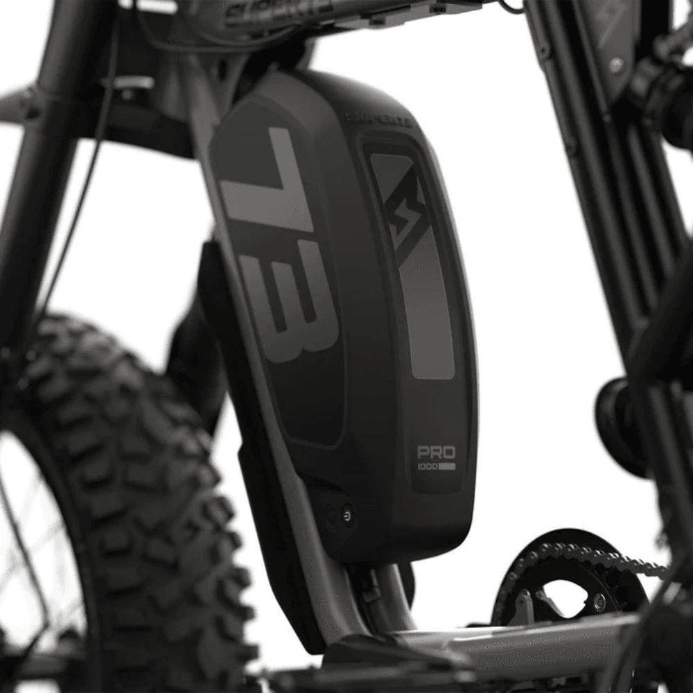 Fat Tire Electric Bike - Image 5