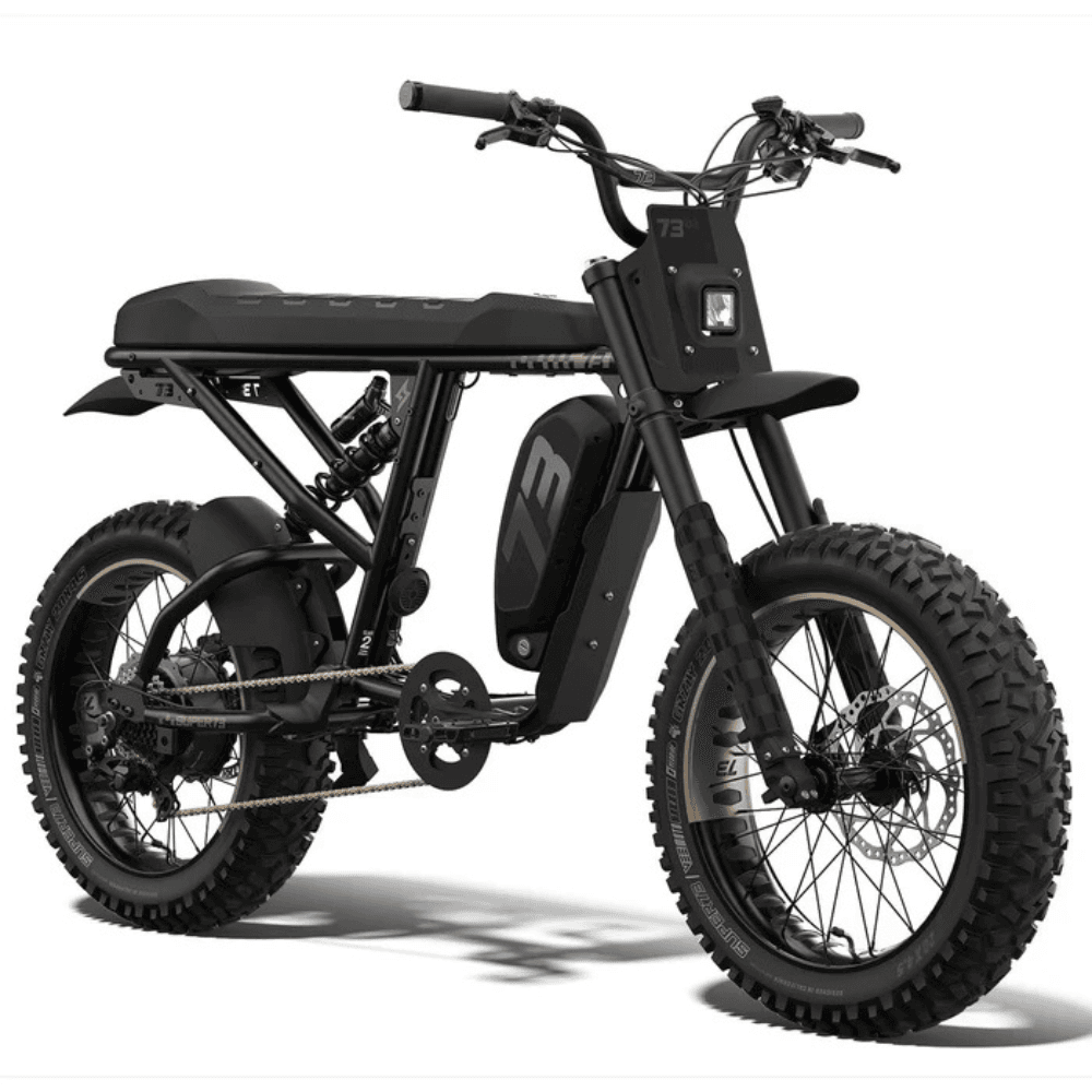 Fat Tire Electric Bike