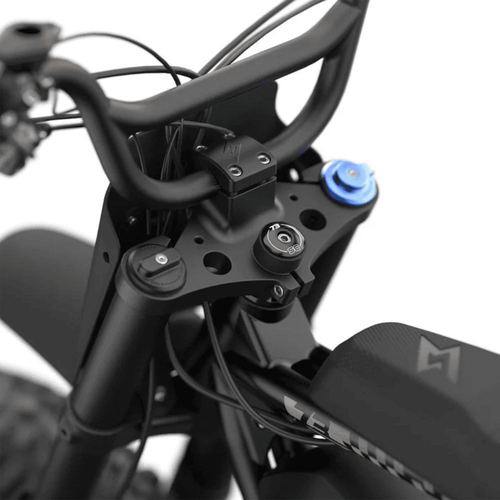 Fat Tire Electric Bike - Image 3