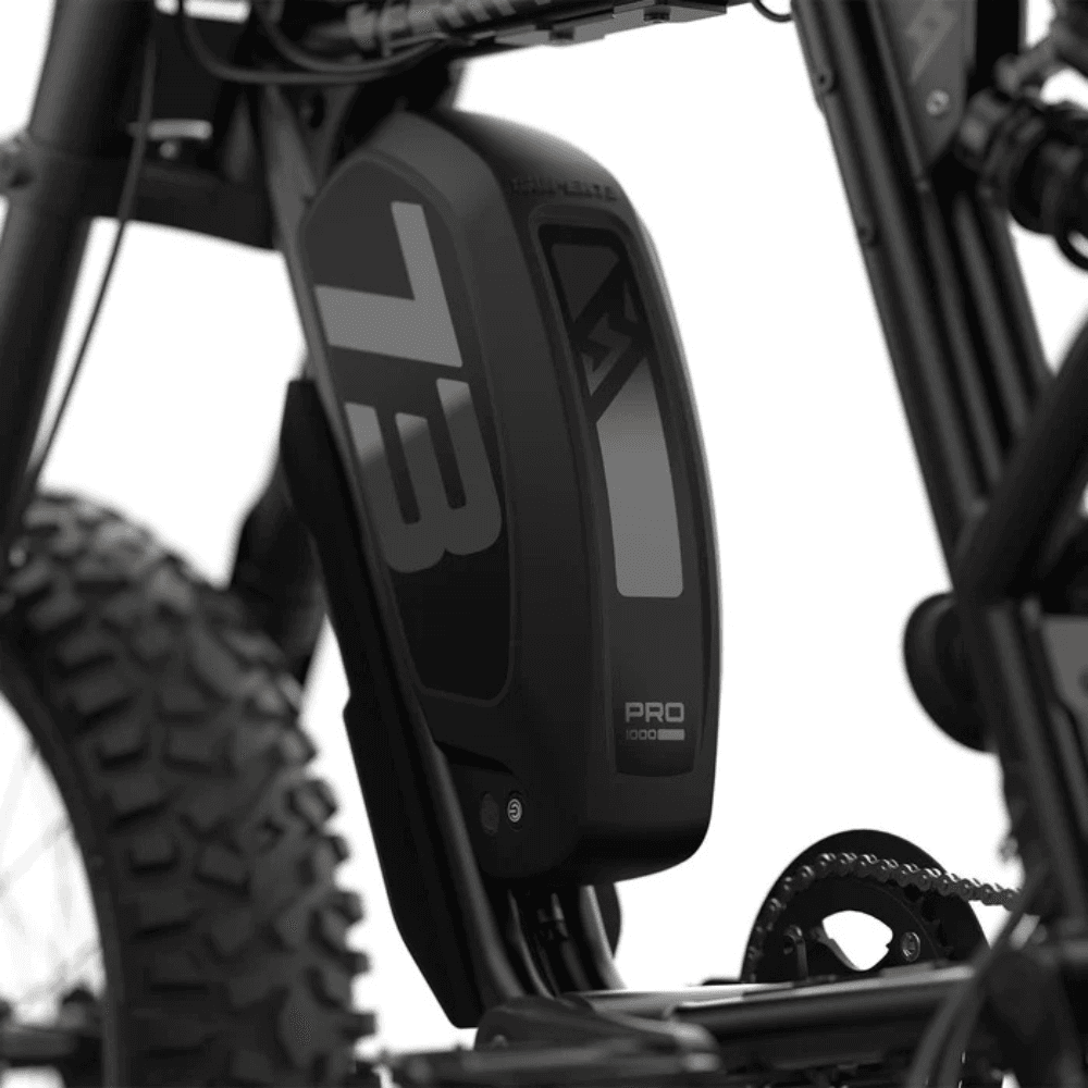 Fat Tire Electric Bike - Image 4