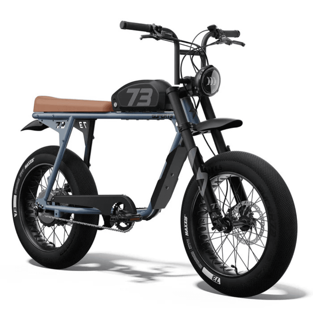 Fat Tire Electric Bike
