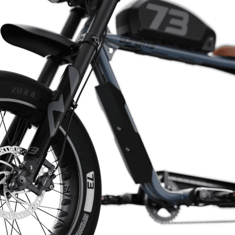 Fat Tire Electric Bike - Image 4