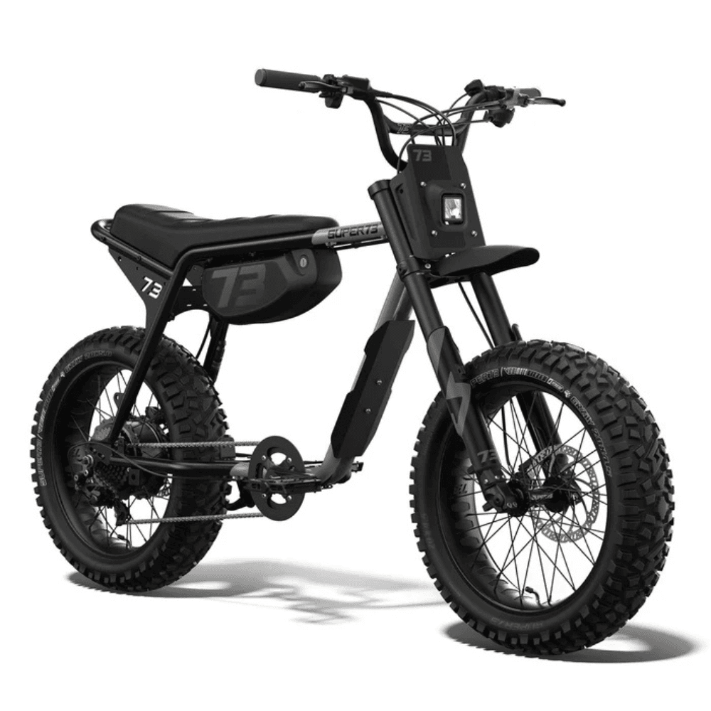 Fat Tire Electric Bike