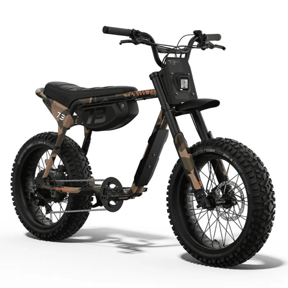 Fat Tire Electric Bike