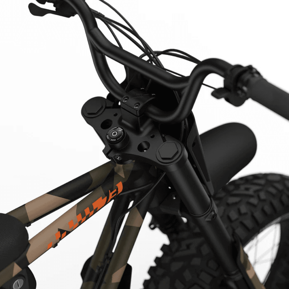 Fat Tire Electric Bike - Image 5