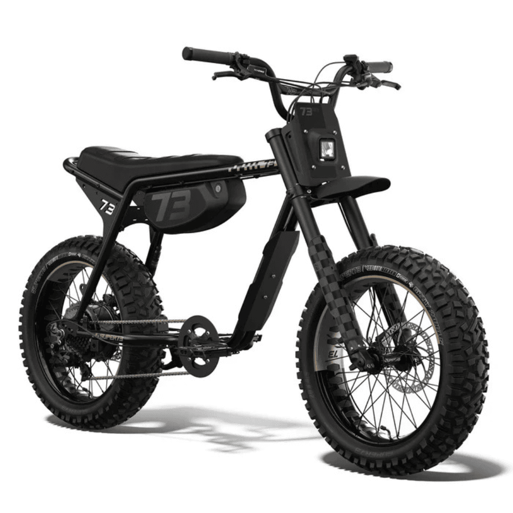 Fat Tire Electric Bike