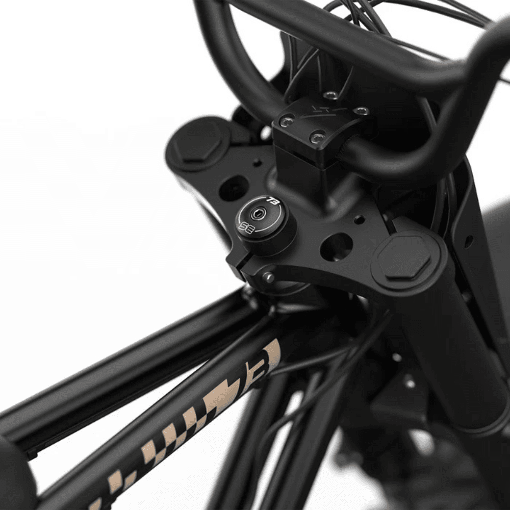 Fat Tire Electric Bike - Image 4