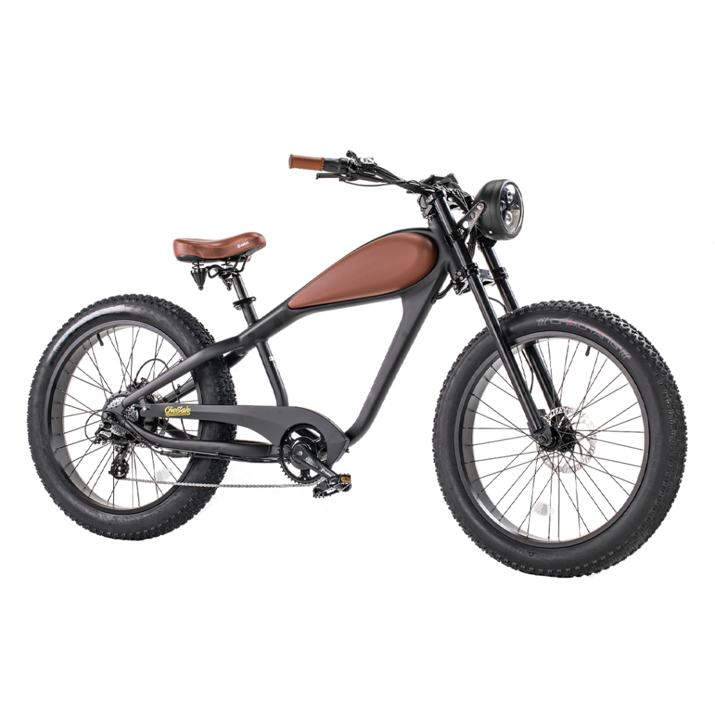 48V 750W Hub Motor Fat Tire Electric Cruiser Bike