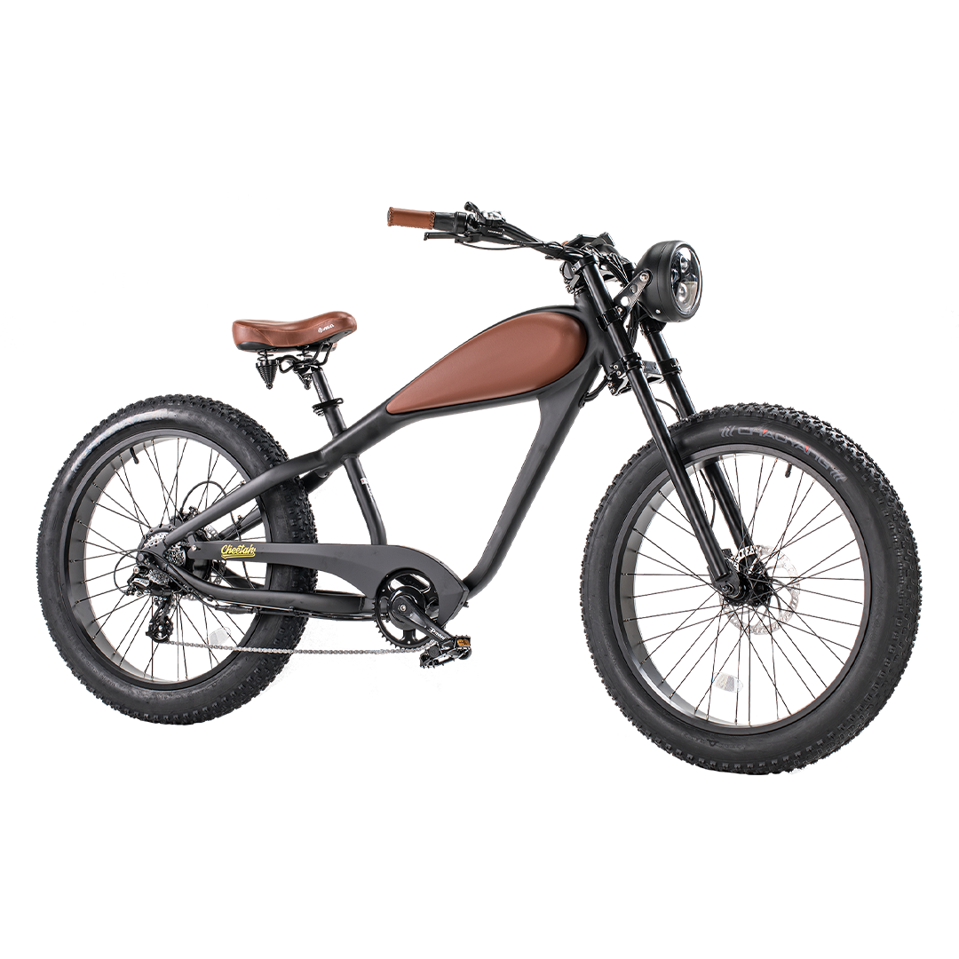 48V 750W Hub Motor Fat Tire Electric Cruiser Bike