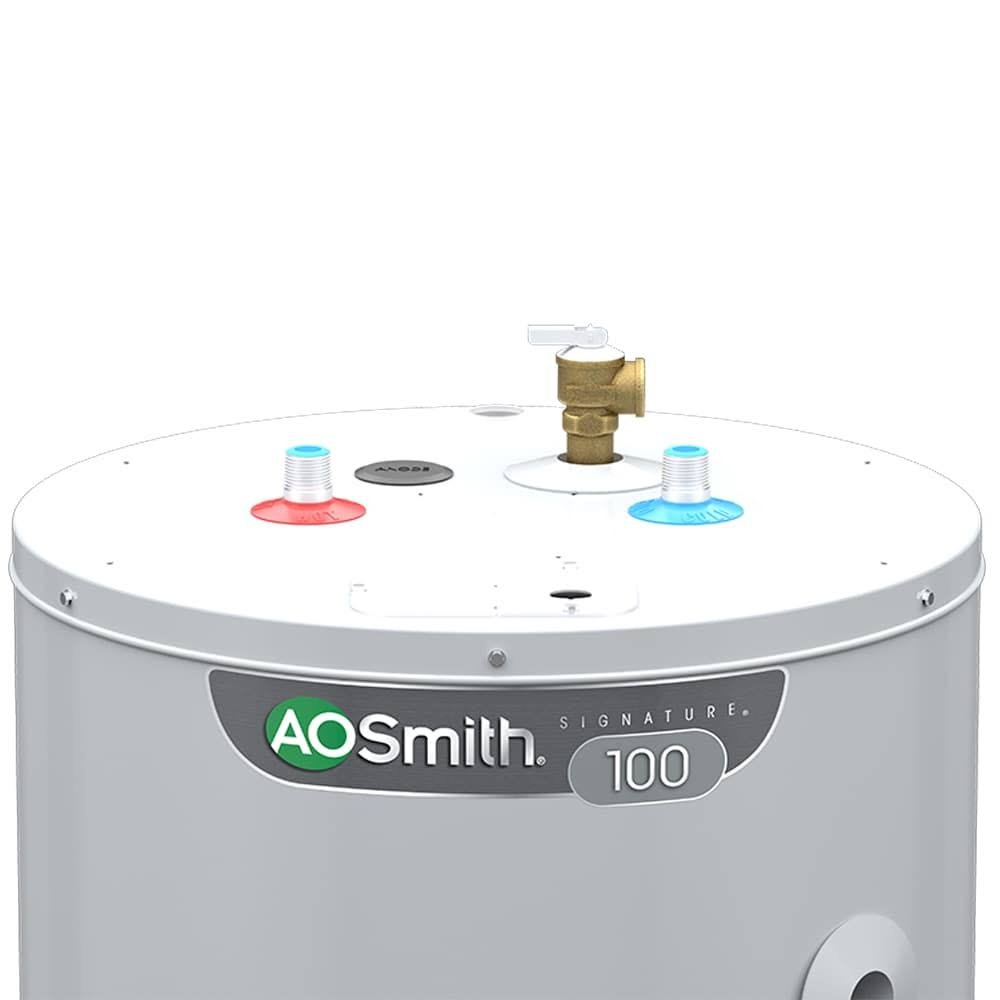 100 40-Gallon Short 3800-Watt Double Element Electric Water Heater | TTP - Image 5